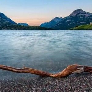 Meet your Posher, Dawn